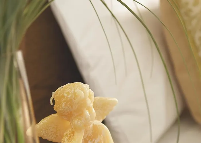 Ξενοδοχείο Rotonda