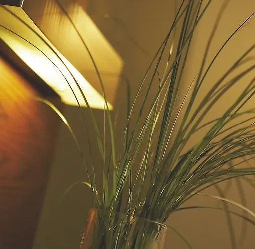 Ξενοδοχείο Rotonda