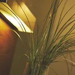 호텔 Rotonda